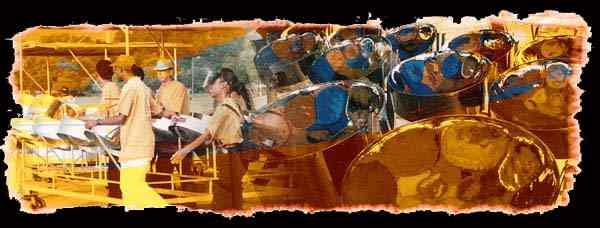 SteelPan Graphic